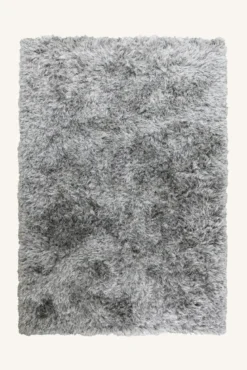 FITZROY SILVER MATTA