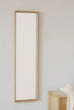 Hillmond spegel 40x150 ek