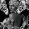 Tavla Zebra Queen, glas, 120x120 K